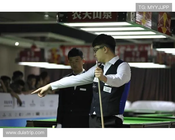 乒乓球场上的追梦旅程：李敏的奋斗与荣耀人生分享