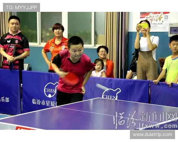 乒乓球的魅力与挑战：深入探讨上海乒乓球队的转型与发展之路