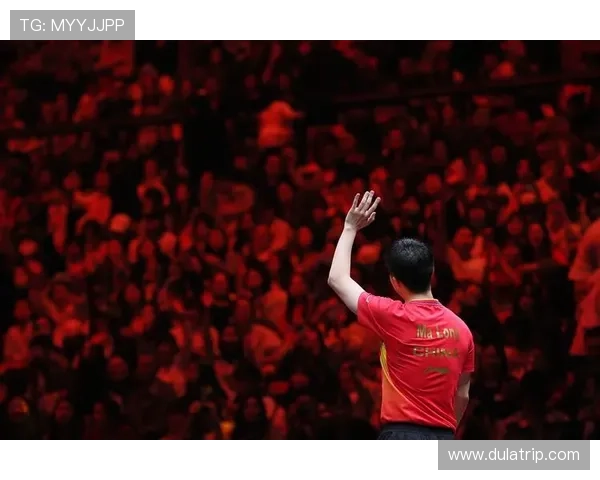 乒乓球专题：聚焦上海乒乓球队的个人能力