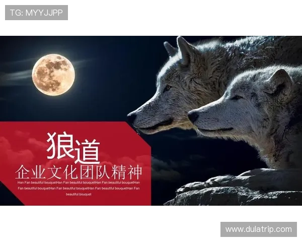 北京乒乓球队的团队协作精神与成功之道探讨